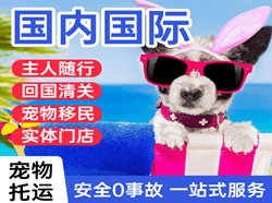 恩施许家坪空运地址国际宠物托运 【国